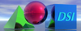 DSI-Logo